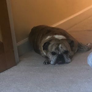 Meet your Posher, Rebekah